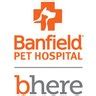 Don&39;t wait - apply now. . Banfield pineville